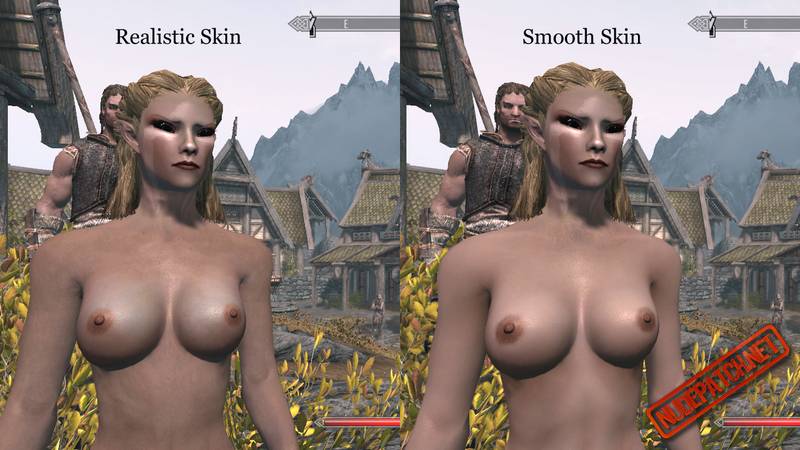You can choose in Skyrim Nude Female - HighRes pack. 